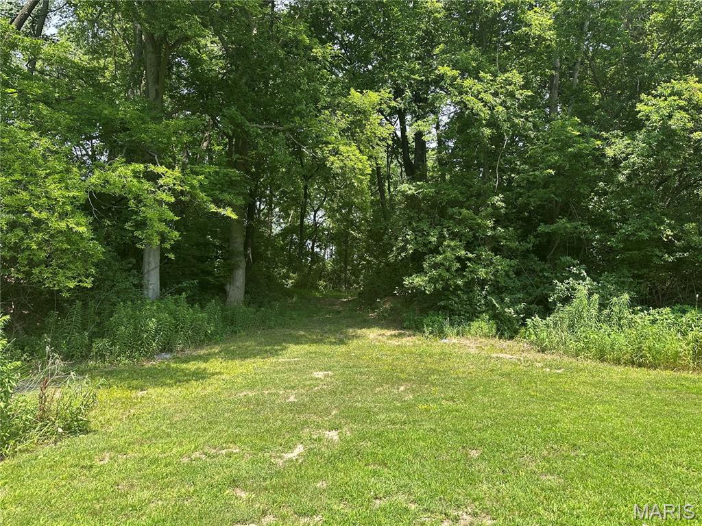 9345 Schaller Road Lenzburg, IL 62255 - Photo 24 of 31
