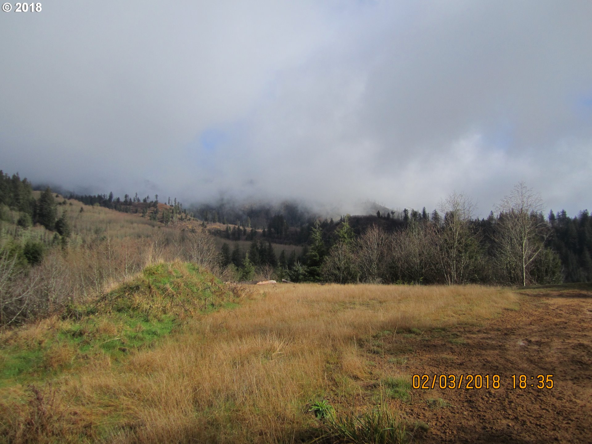 2135 Noble Springs Road, Unit 705 Tillamook, OR 97141 - Photo 2 of 11 Gallery Image 2