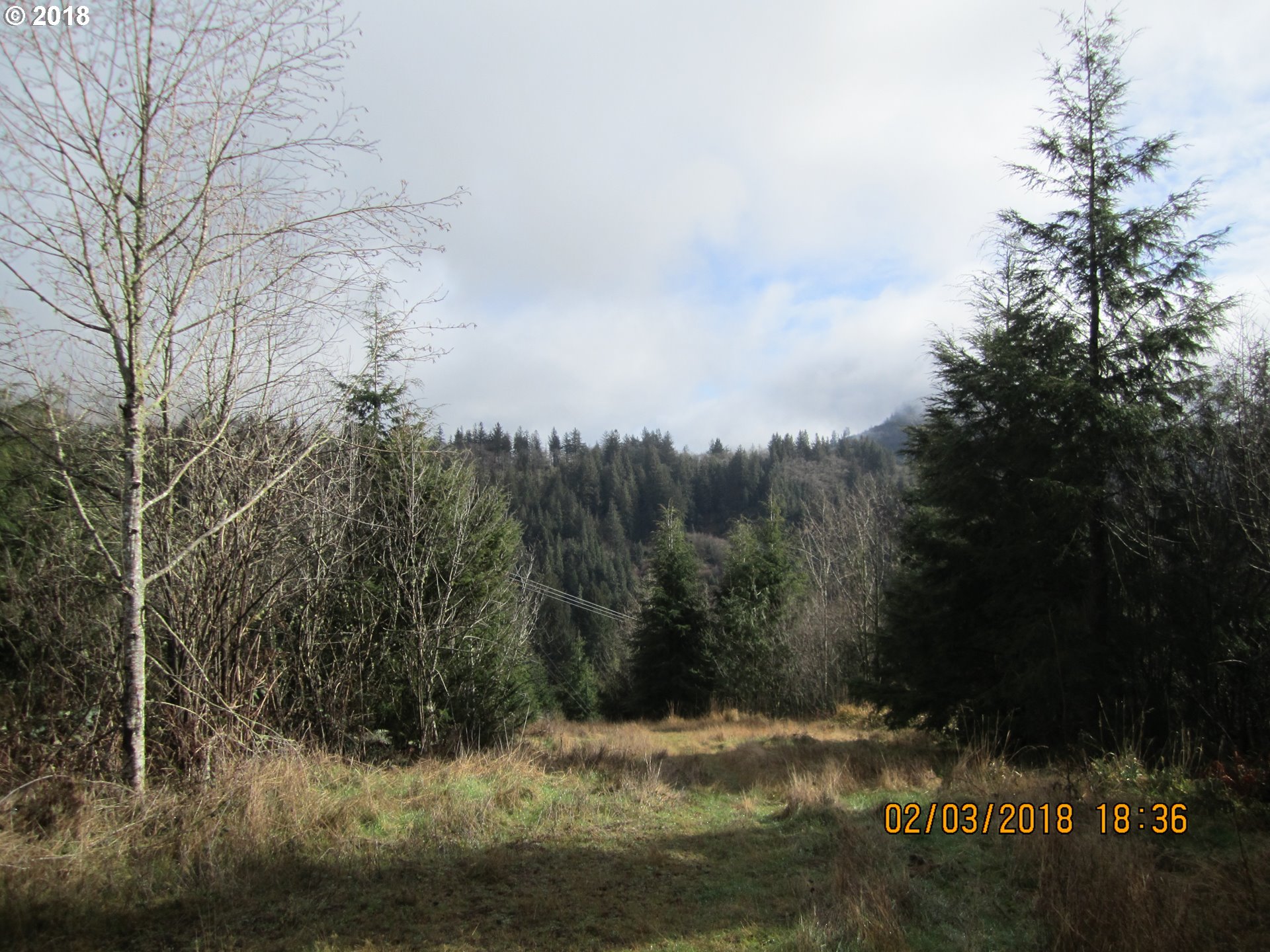 2135 Noble Springs Road, Unit 705 Tillamook, OR 97141 - Photo 4 of 11 Gallery Image 4