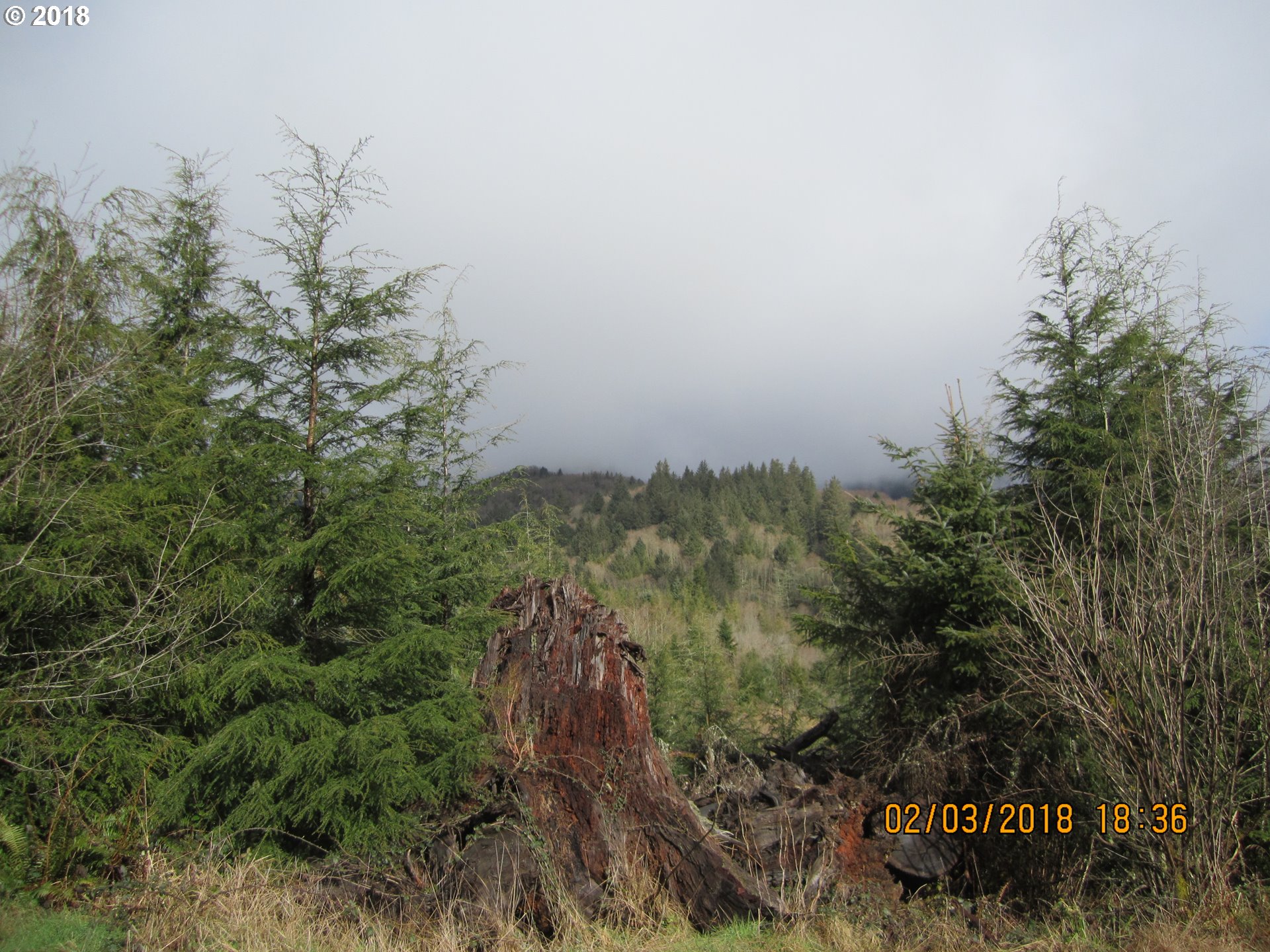 2135 Noble Springs Road, Unit 705 Tillamook, OR 97141 - Photo 5 of 11 Gallery Image 5