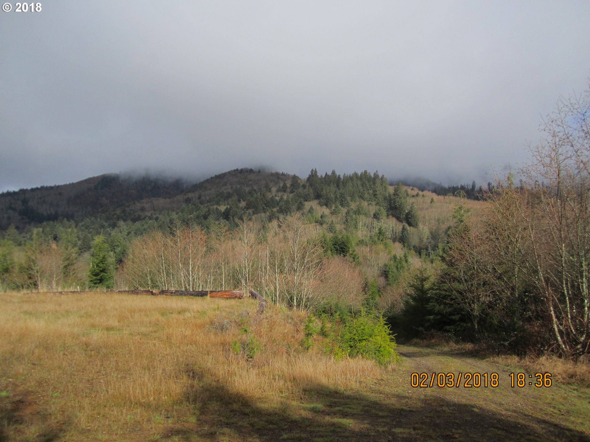 2135 Noble Springs Road, Unit 705 Tillamook, OR 97141 - Photo 6 of 11 Gallery Image 6