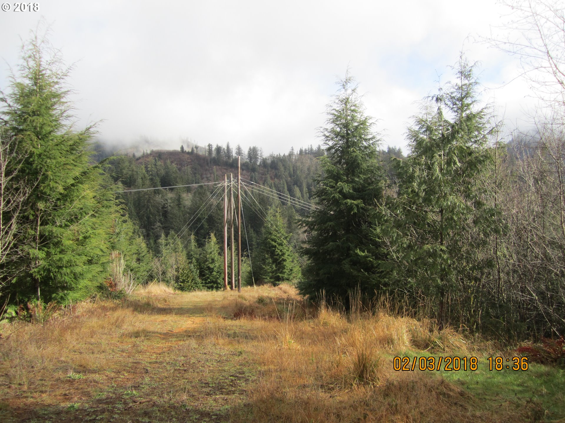 2135 Noble Springs Road, Unit 705 Tillamook, OR 97141 - Photo 7 of 11 Gallery Image 7