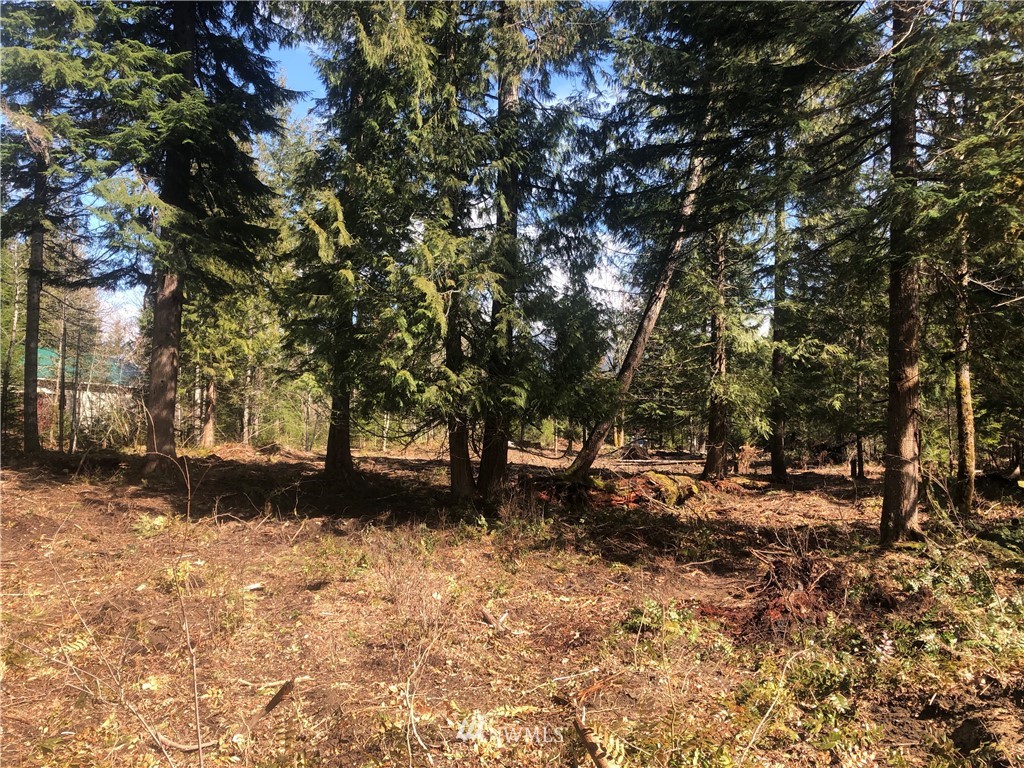 1 Cannon Road Packwood, WA 98361 - Photo 8 of 11 Gallery Image 8