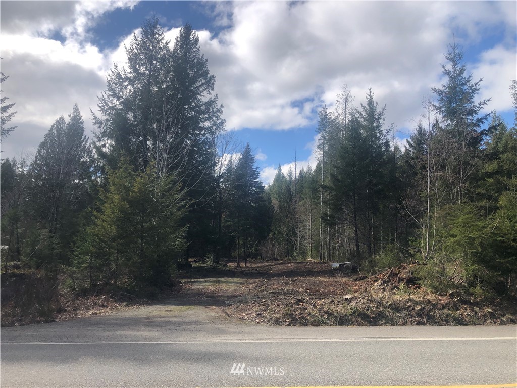 1 Cannon Road Packwood, WA 98361 - Photo 9 of 11 Gallery Image 9