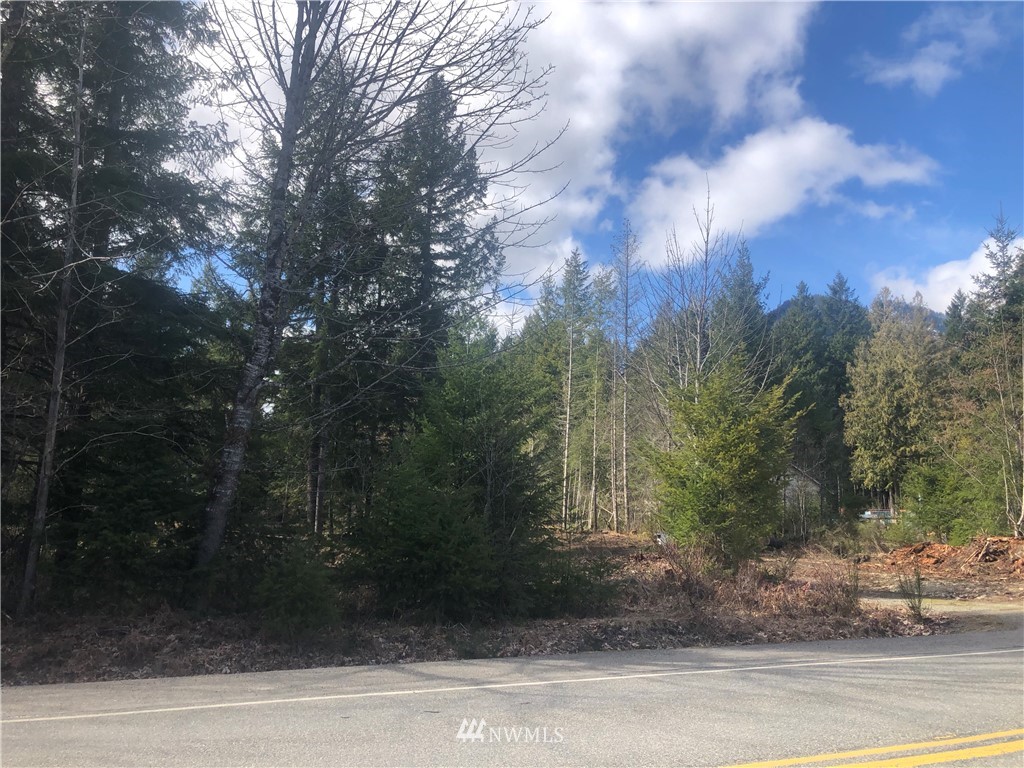 1 Cannon Road Packwood, WA 98361 - Photo 10 of 11 Gallery Image 10
