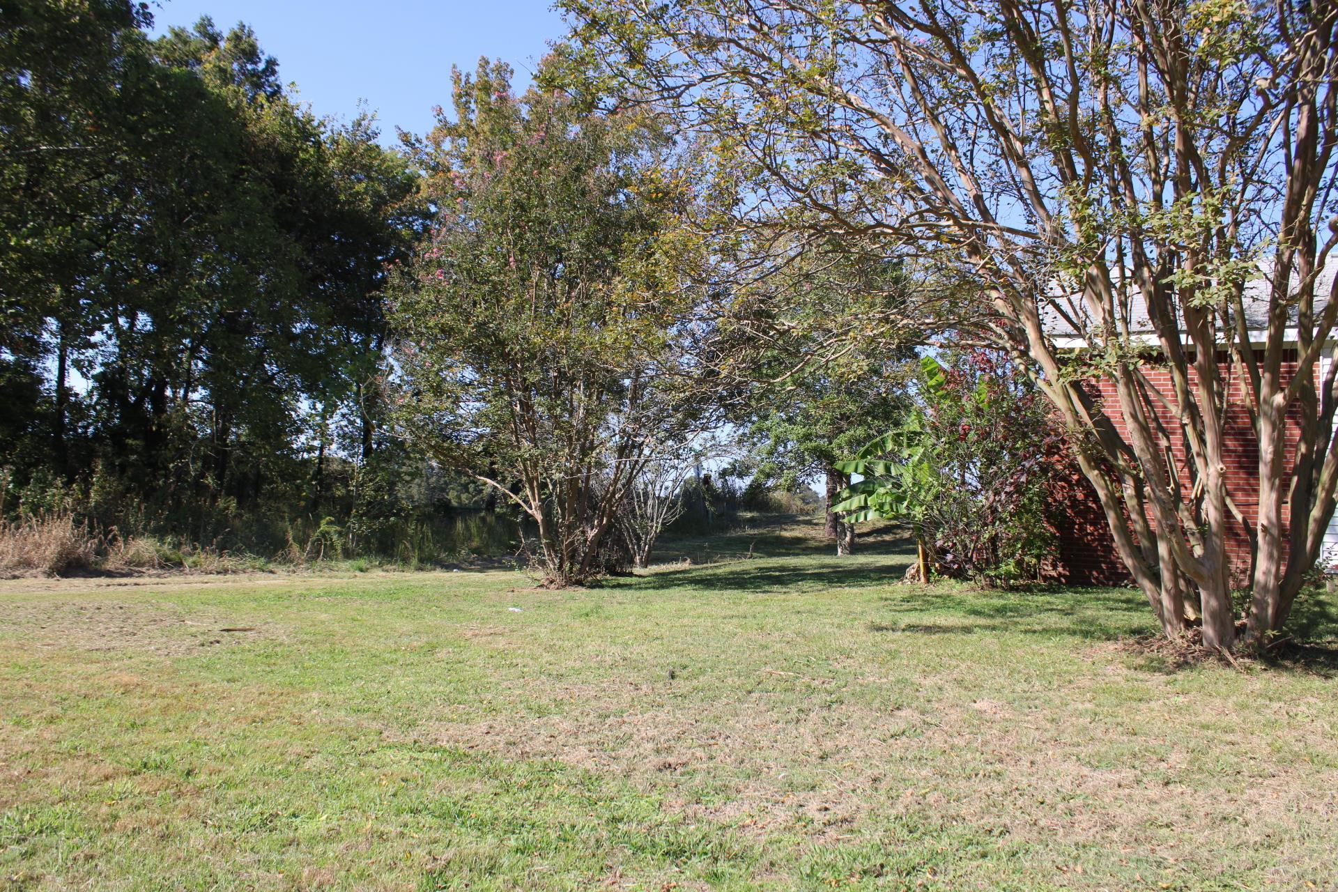 1027 Lynn School Road Ripley, TN 38063 - Photo 26 of 26 a view of outdoor space with trees