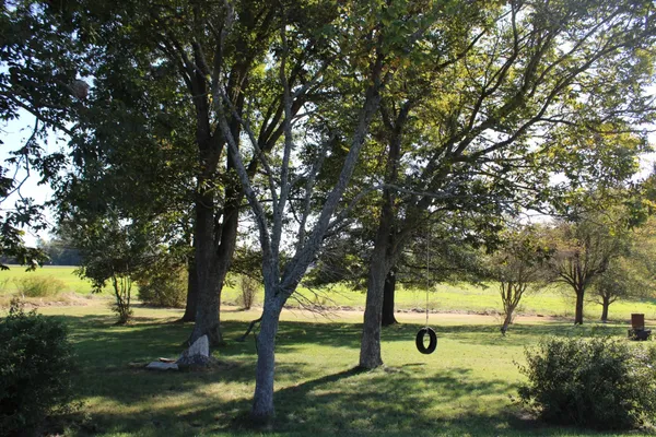 a view of an outdoor space with seating