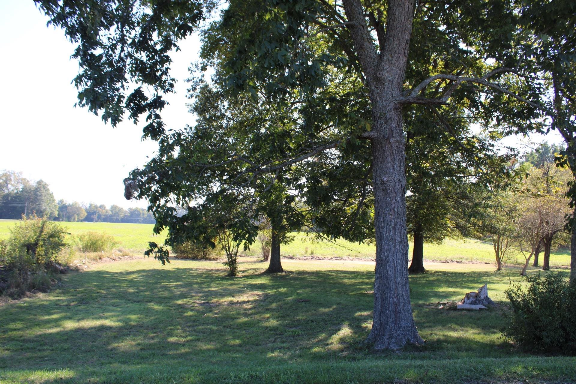 1027 Lynn School Road Ripley, TN 38063 - Photo 4 of 26 a view of a yard with large trees