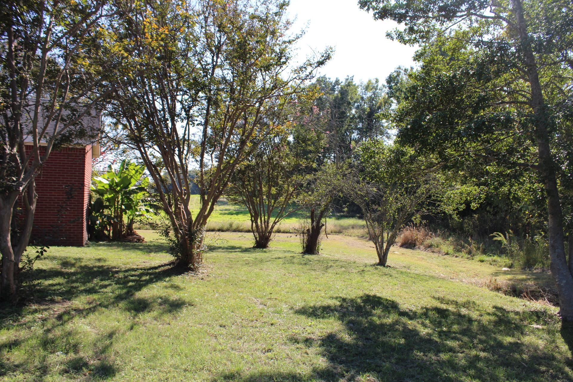 1027 Lynn School Road Ripley, TN 38063 - Photo 5 of 26 a view of back yard