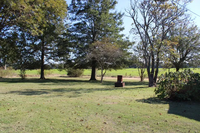 a view of a yard with tree s