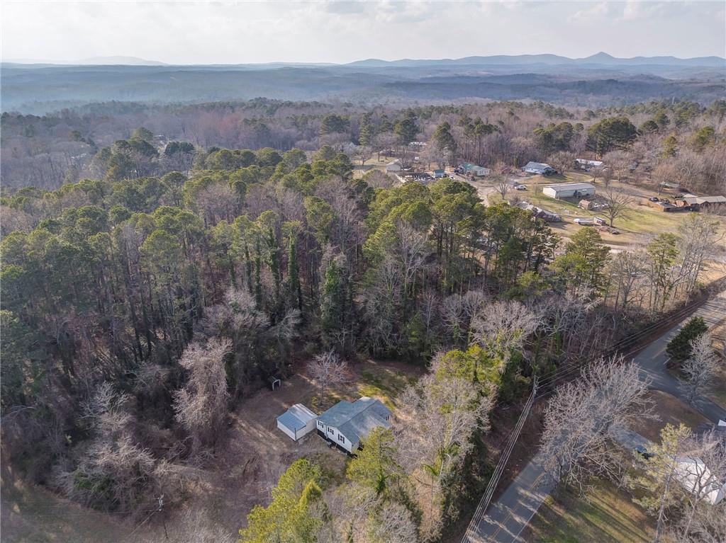 653 Fairview Road Ball Ground, GA 30107 - Photo 50 of 52