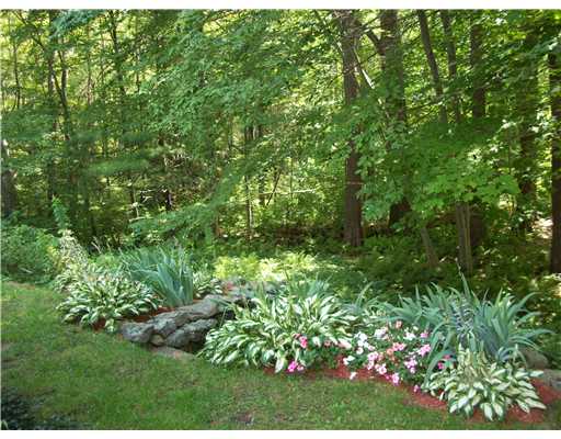 2241 Wallum Lake Road Burrillville, RI 02859 - Photo 8 of 18 Yard/Garden.