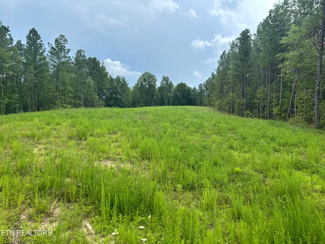 $176,000 | Higby Pvt Road, Robbins, TN 37852