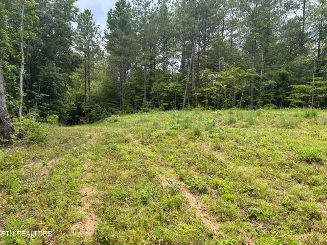 $176,000 | Higby Pvt Road, Robbins, TN 37852