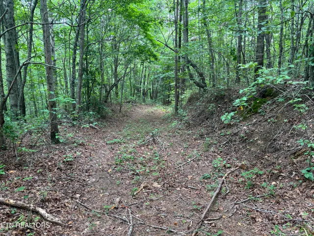 $176,000 | Higby Pvt Road, Robbins, TN 37852