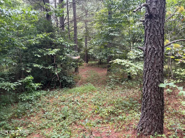 $176,000 | Higby Pvt Road, Robbins, TN 37852