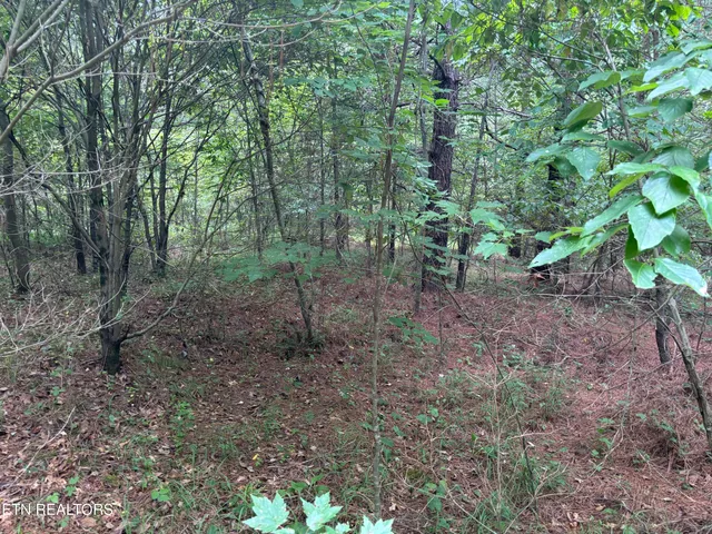 $176,000 | Higby Pvt Road, Robbins, TN 37852