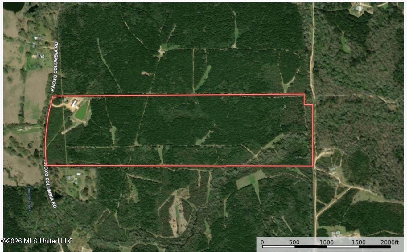 232 Knoxo Columbia Road Tylertown, MS 39667 - Photo 118 of 120 IMG_5321