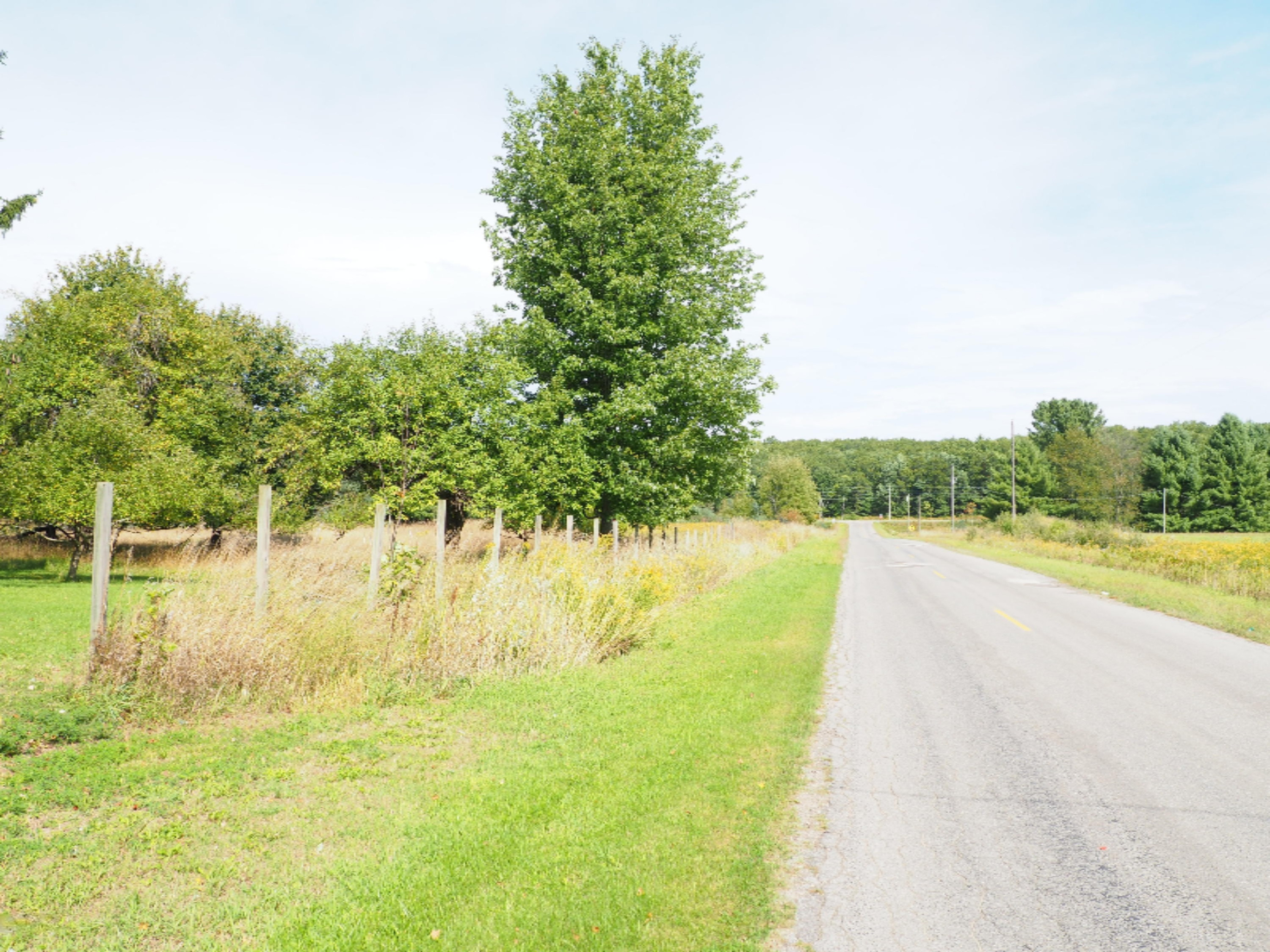 4286 Keith Road Brethren, MI 49619 - Photo 27 of 27 P9180332