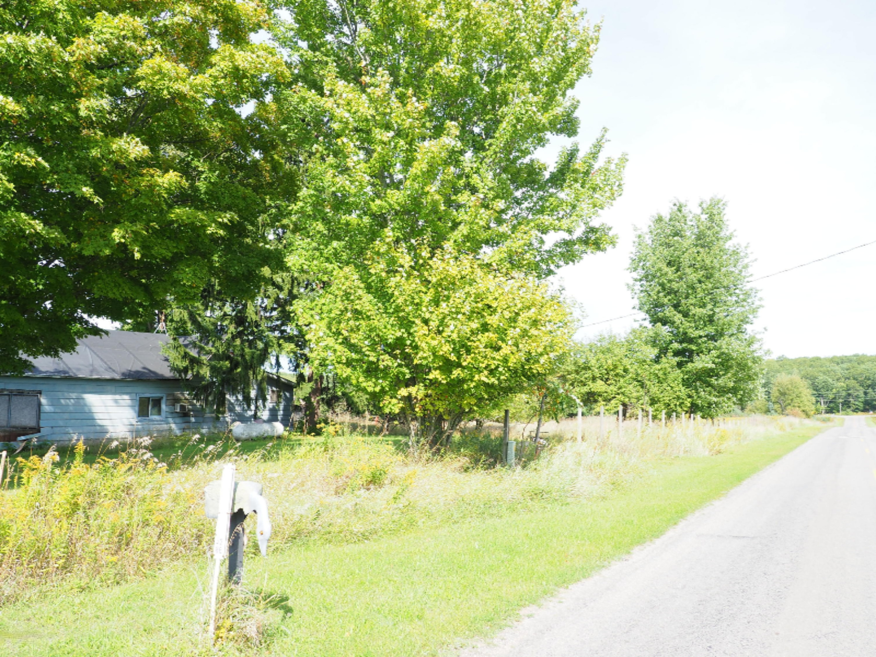 4286 Keith Road Brethren, MI 49619 - Photo 4 of 27 P9180308