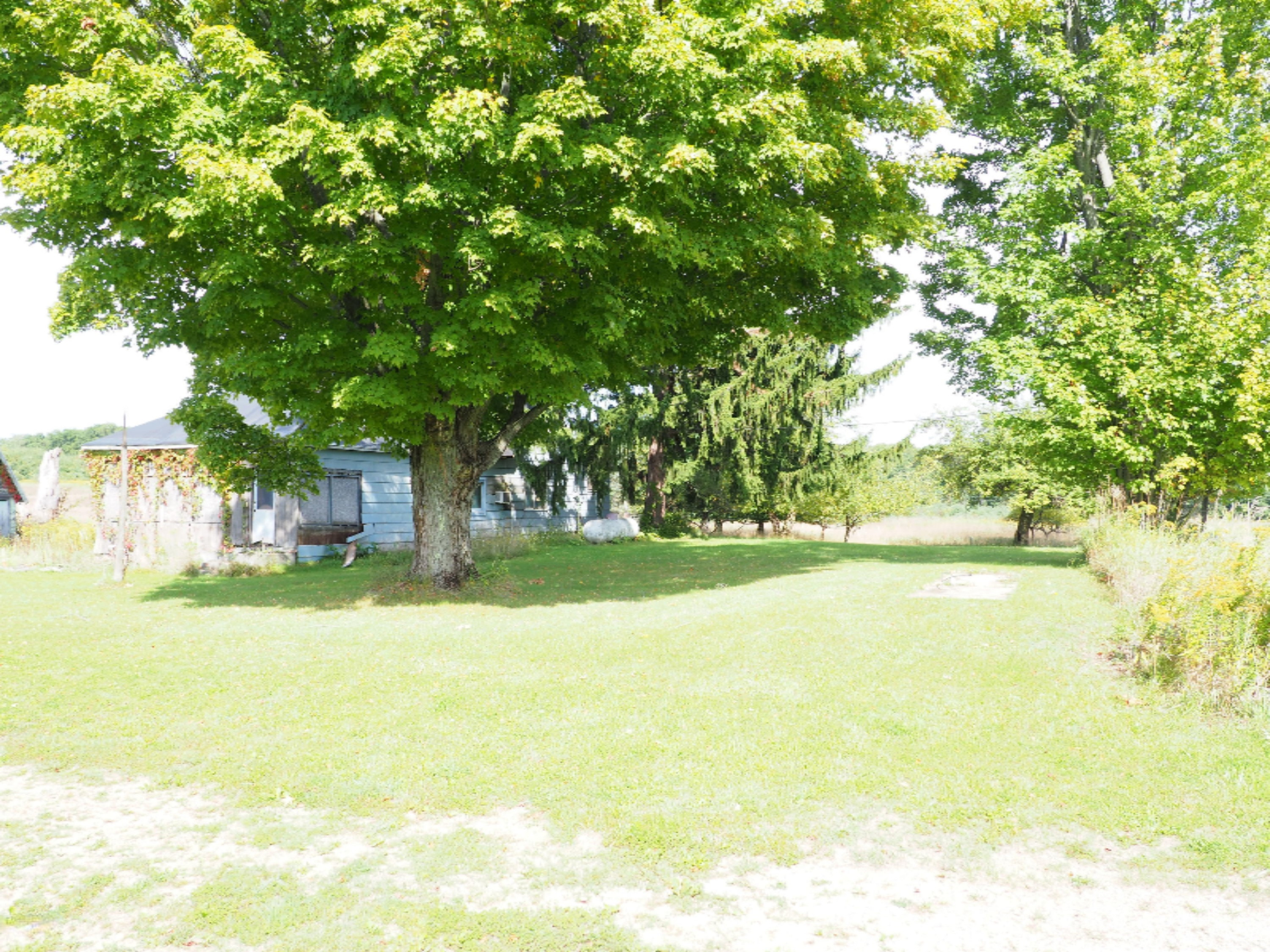 4286 Keith Road Brethren, MI 49619 - Photo 6 of 27 P9180310