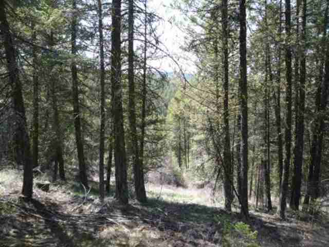 0 Pingston Creek Road Kettle Falls, WA 99141 - Photo 2 of 6 Gallery Image 2