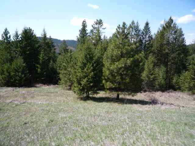 0 Pingston Creek Road Kettle Falls, WA 99141 - Photo 3 of 6 Gallery Image 3