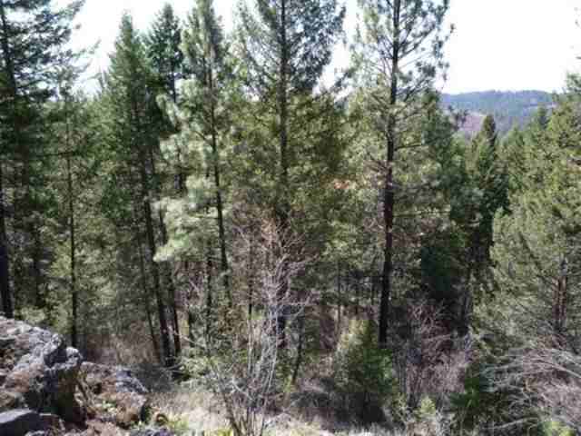 0 Pingston Creek Road Kettle Falls, WA 99141 - Photo 4 of 6 Gallery Image 4