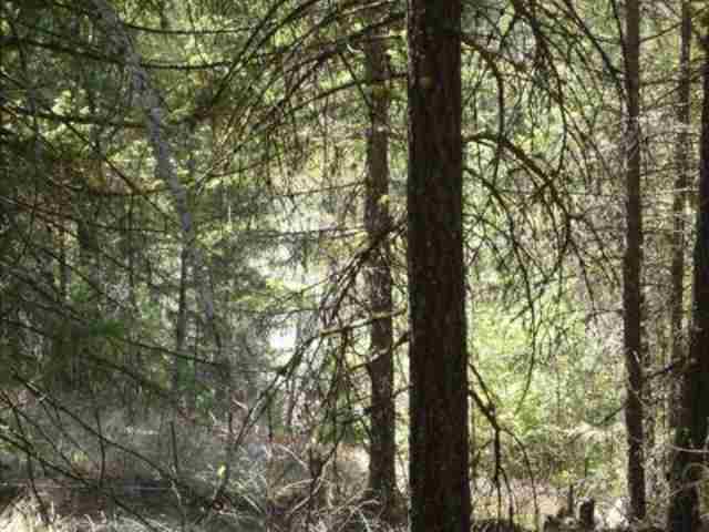 0 Pingston Creek Road Kettle Falls, WA 99141 - Photo 5 of 6 Gallery Image 5