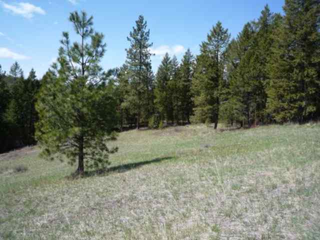 0 Pingston Creek Road Kettle Falls, WA 99141 - Photo 6 of 6 Gallery Image 6