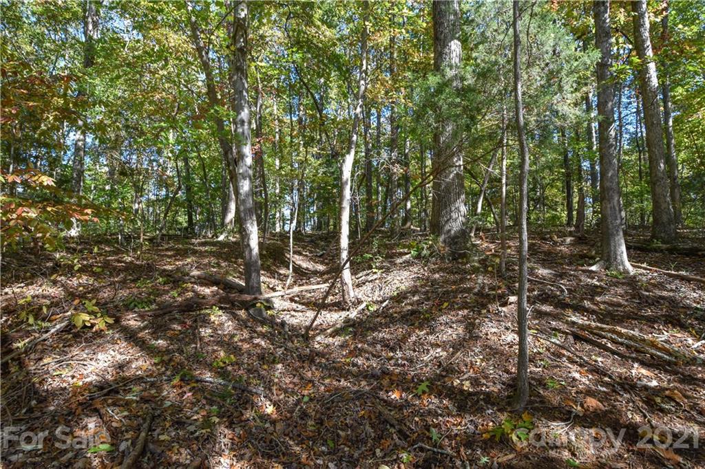 44 Little Fork Cove Road Denver, NC 28037 - Photo 5 of 15 Gallery Image 5