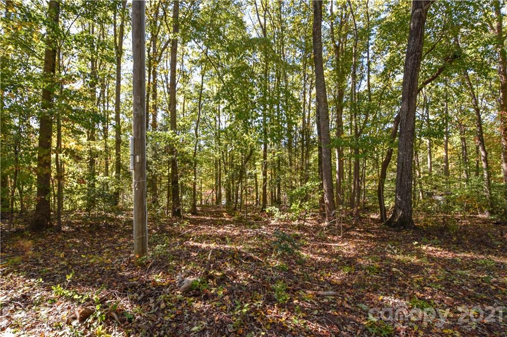 44 Little Fork Cove Road Denver, NC 28037 - Photo 6 of 15 Gallery Image 6