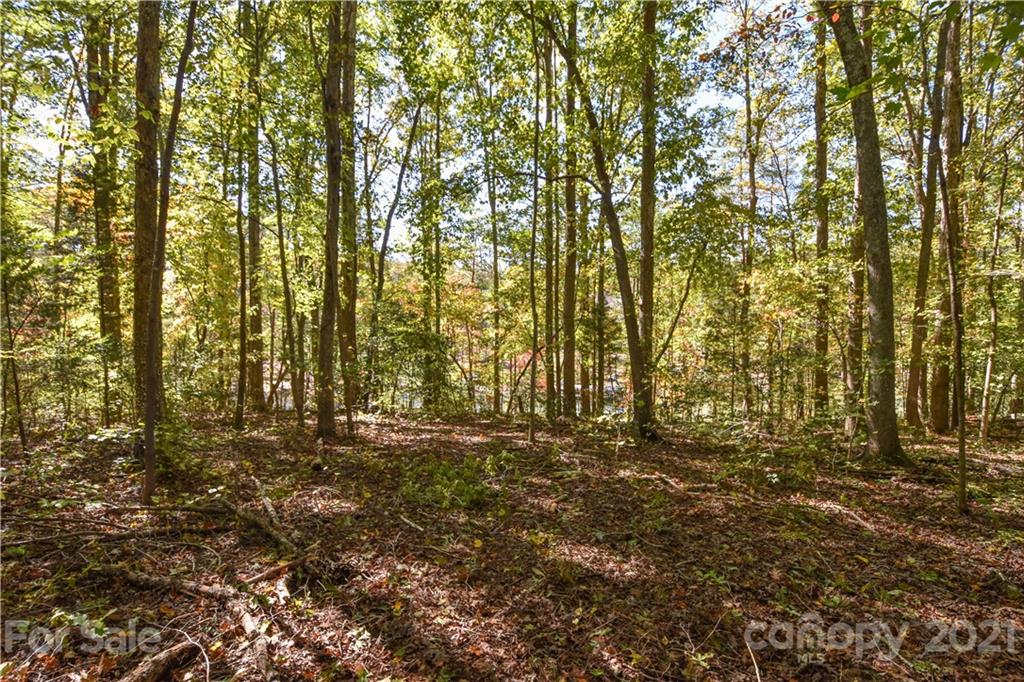 44 Little Fork Cove Road Denver, NC 28037 - Photo 7 of 15 Gallery Image 7