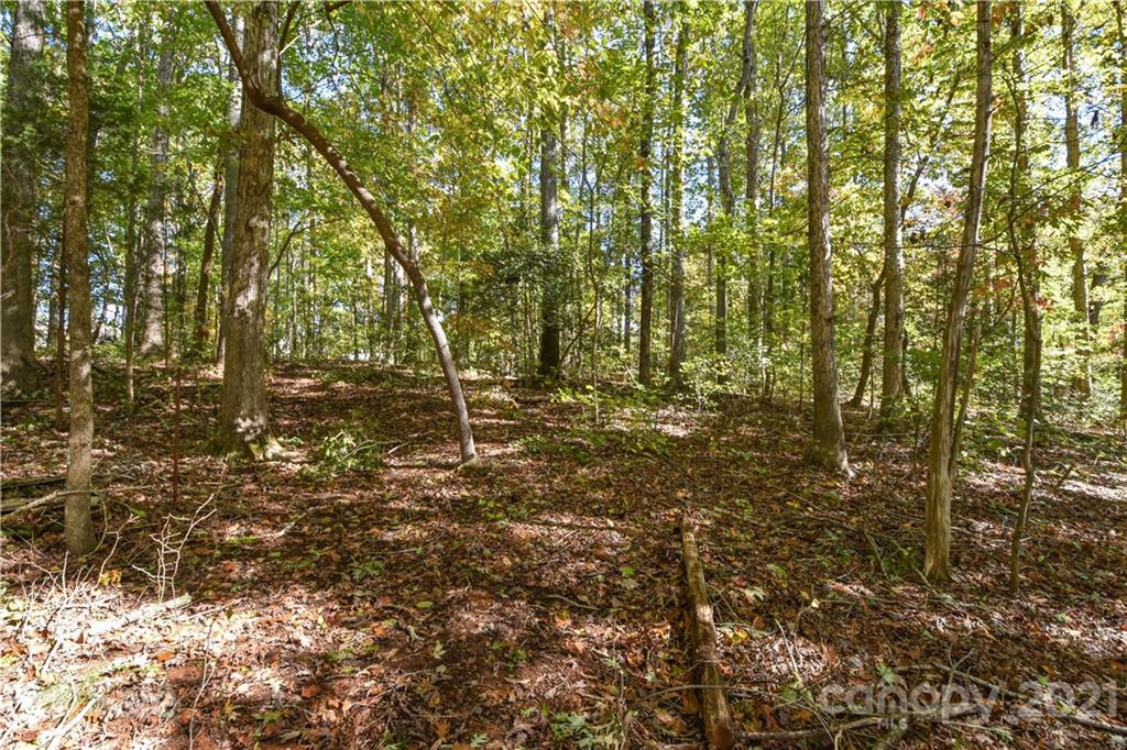 44 Little Fork Cove Road Denver, NC 28037 - Photo 8 of 15 Gallery Image 8