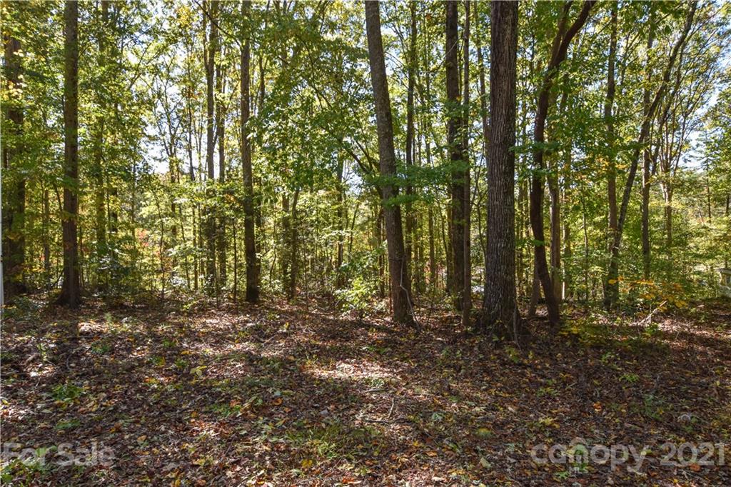 44 Little Fork Cove Road Denver, NC 28037 - Photo 9 of 15 Gallery Image 9