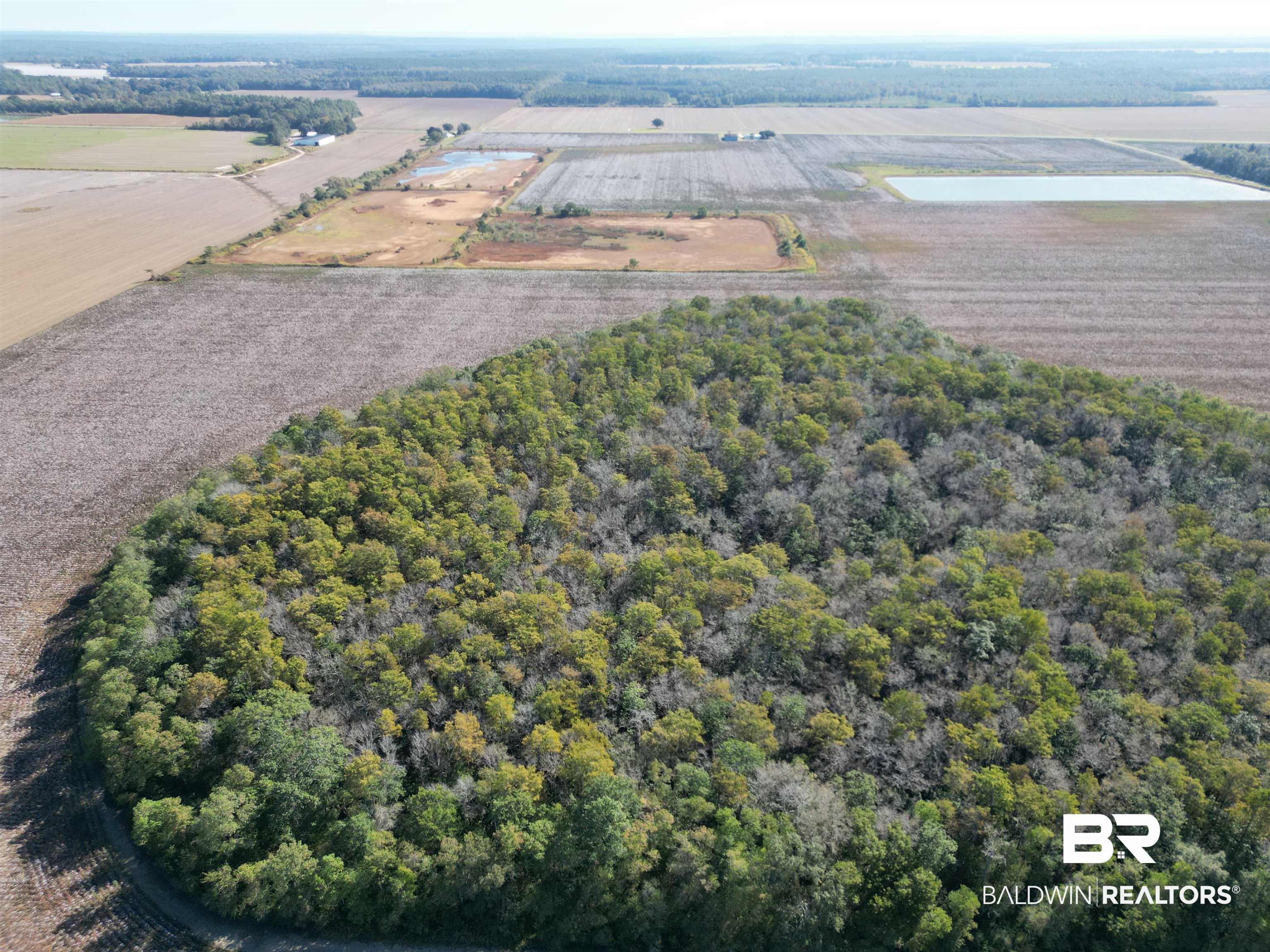 0 South Highway 99 Walnut Hill, FL 32568 - Photo 12 of 18 Drone / aerial view with a rural view