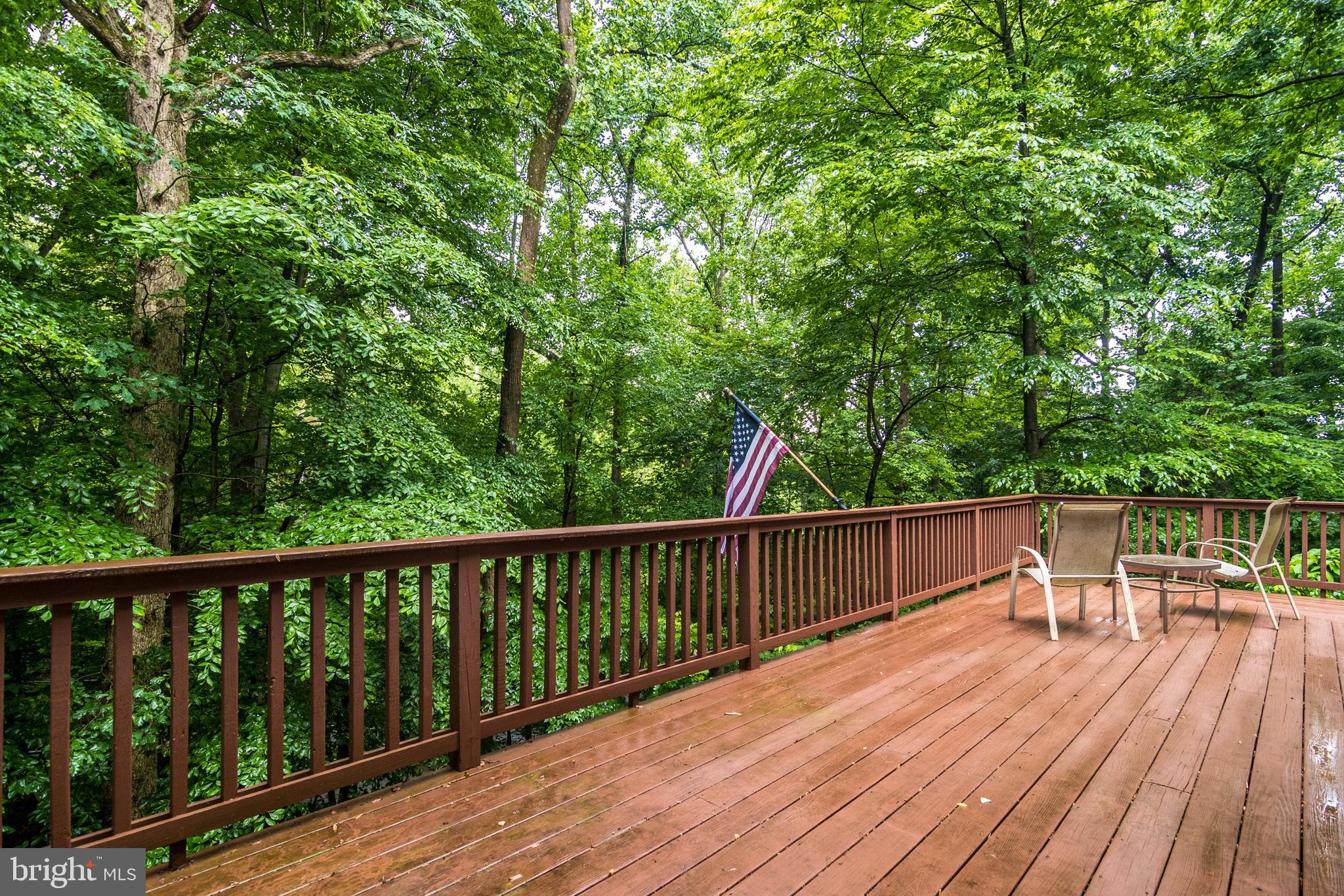 1469 Yellow Springs Road Chester Springs, PA 19425 - Photo 44 of 53 Like living in a tree house!