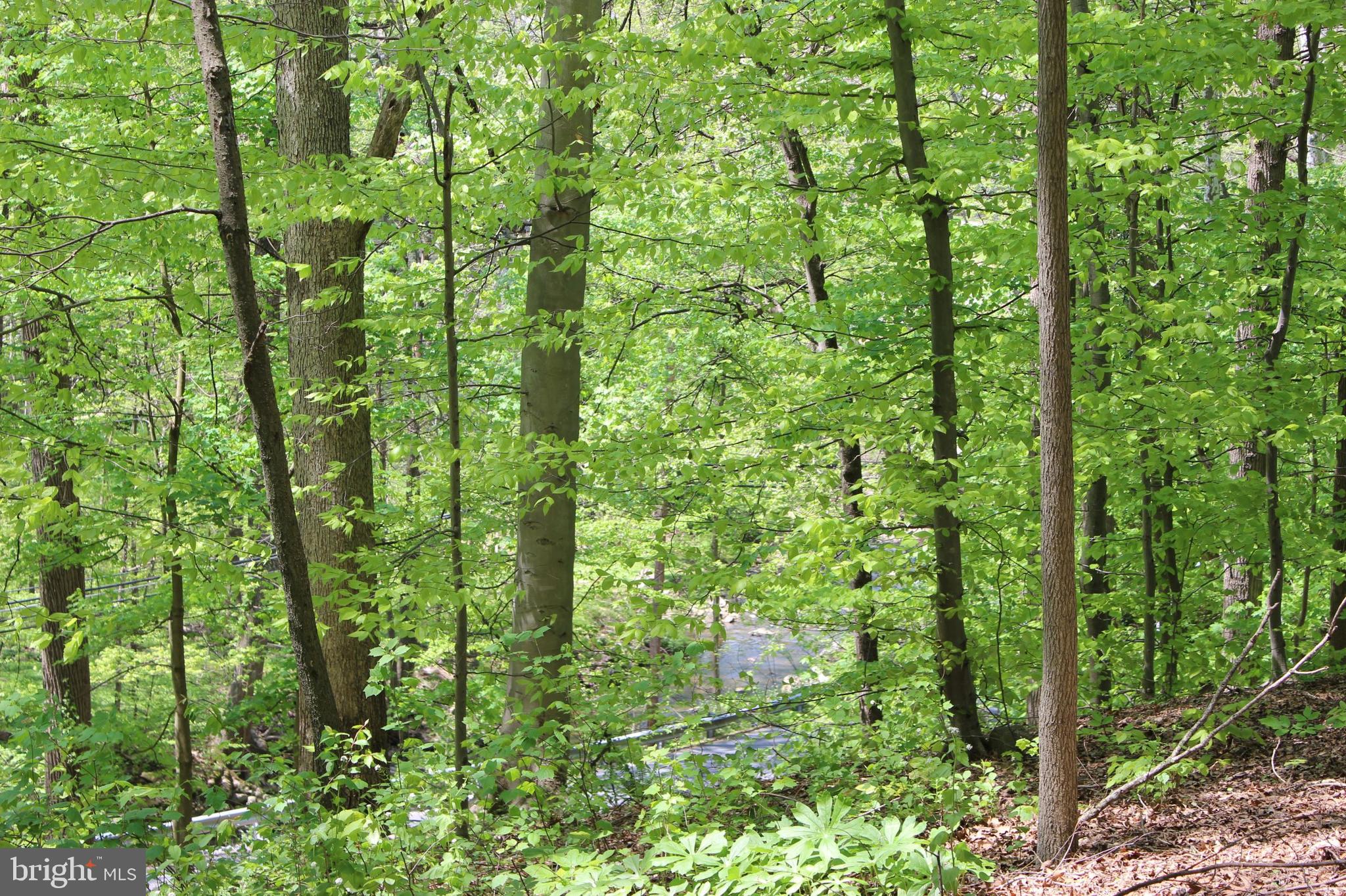 1469 Yellow Springs Road Chester Springs, PA 19425 - Photo 47 of 53 View of Pine Creek - you hear it from the deck