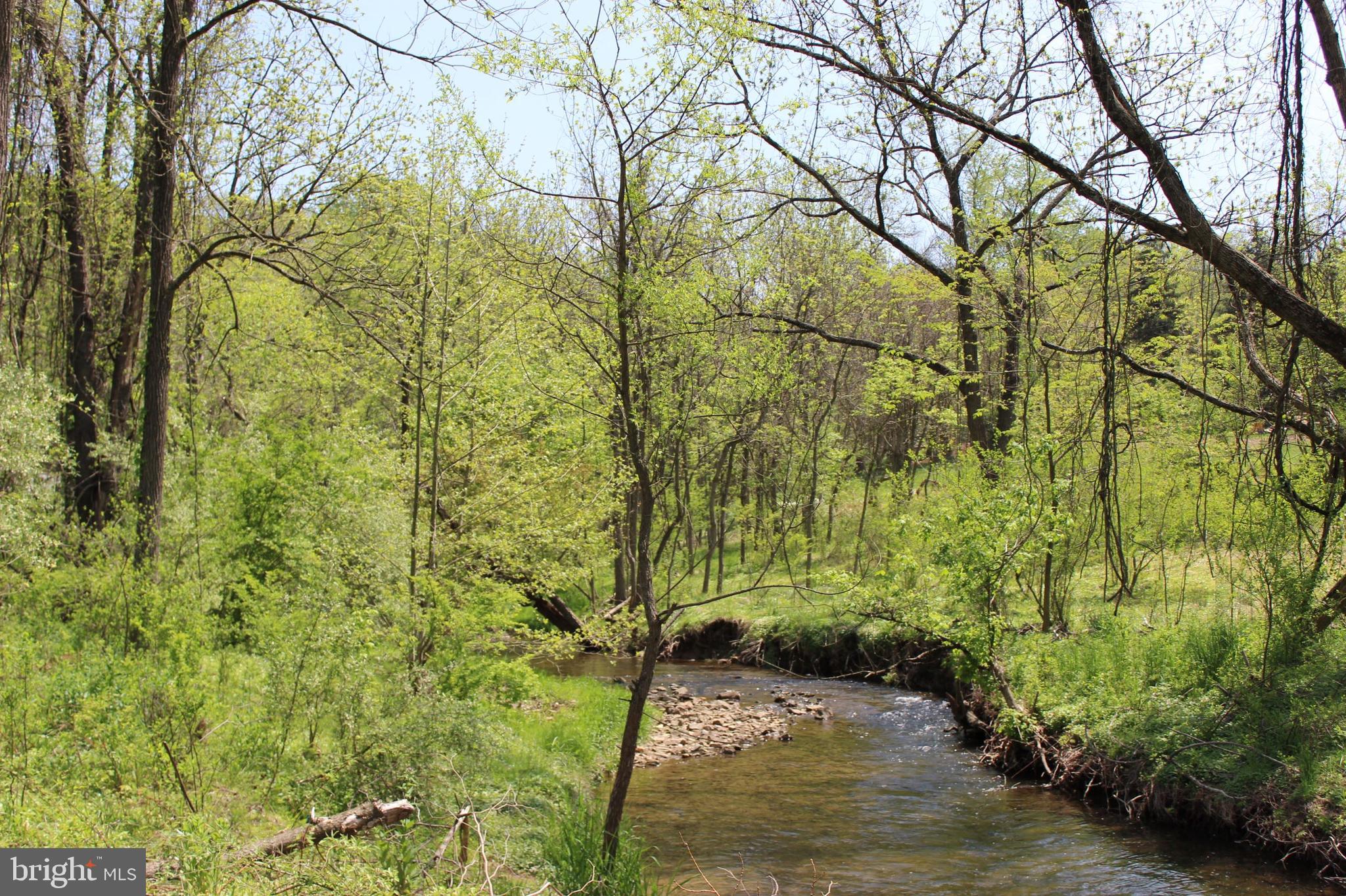 1469 Yellow Springs Road Chester Springs, PA 19425 - Photo 51 of 53 Pine Creek