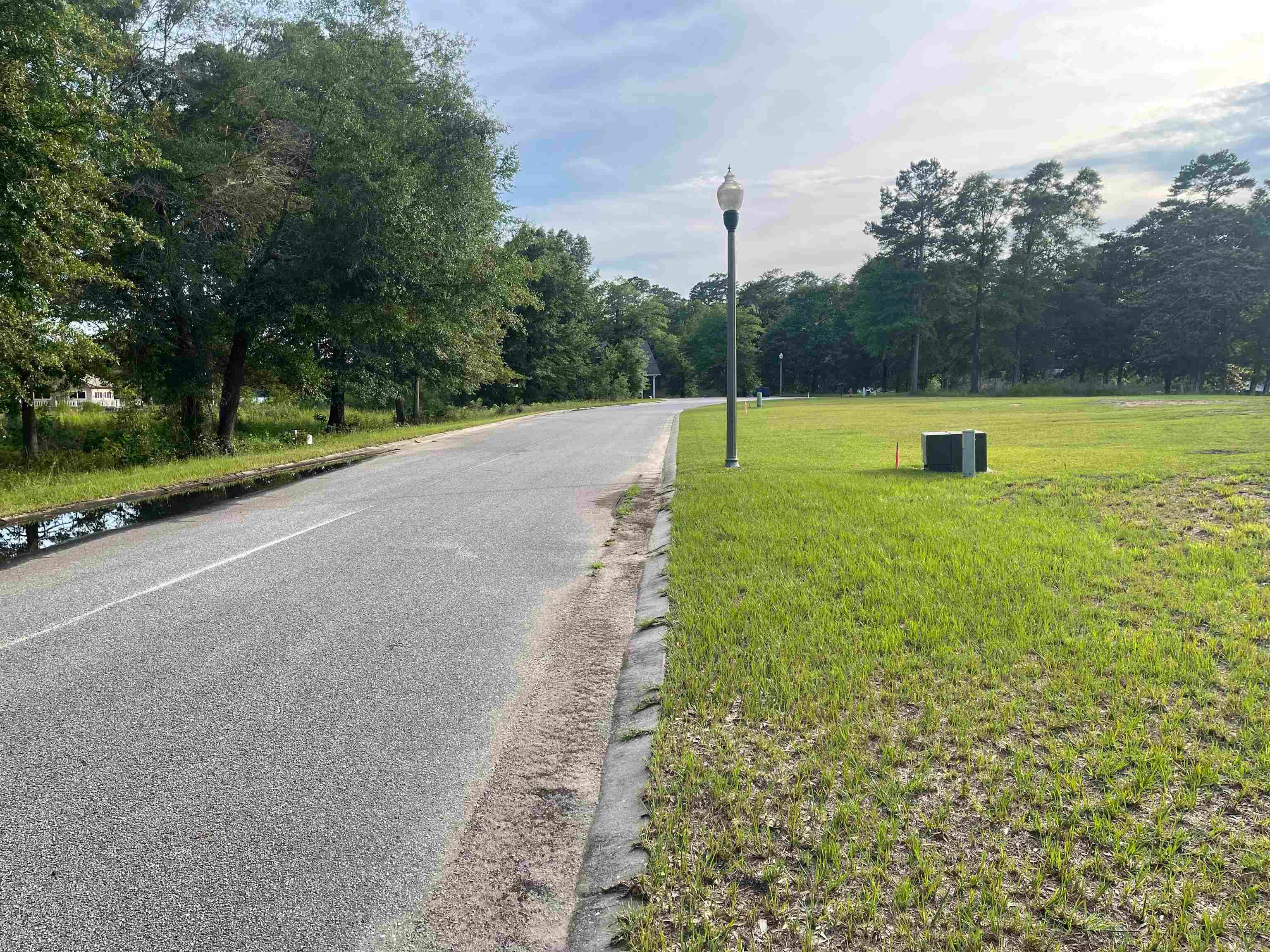 Lot 21 Magnolia Point Samson, AL 36477 - Photo 3 of 6 Gallery Image 3