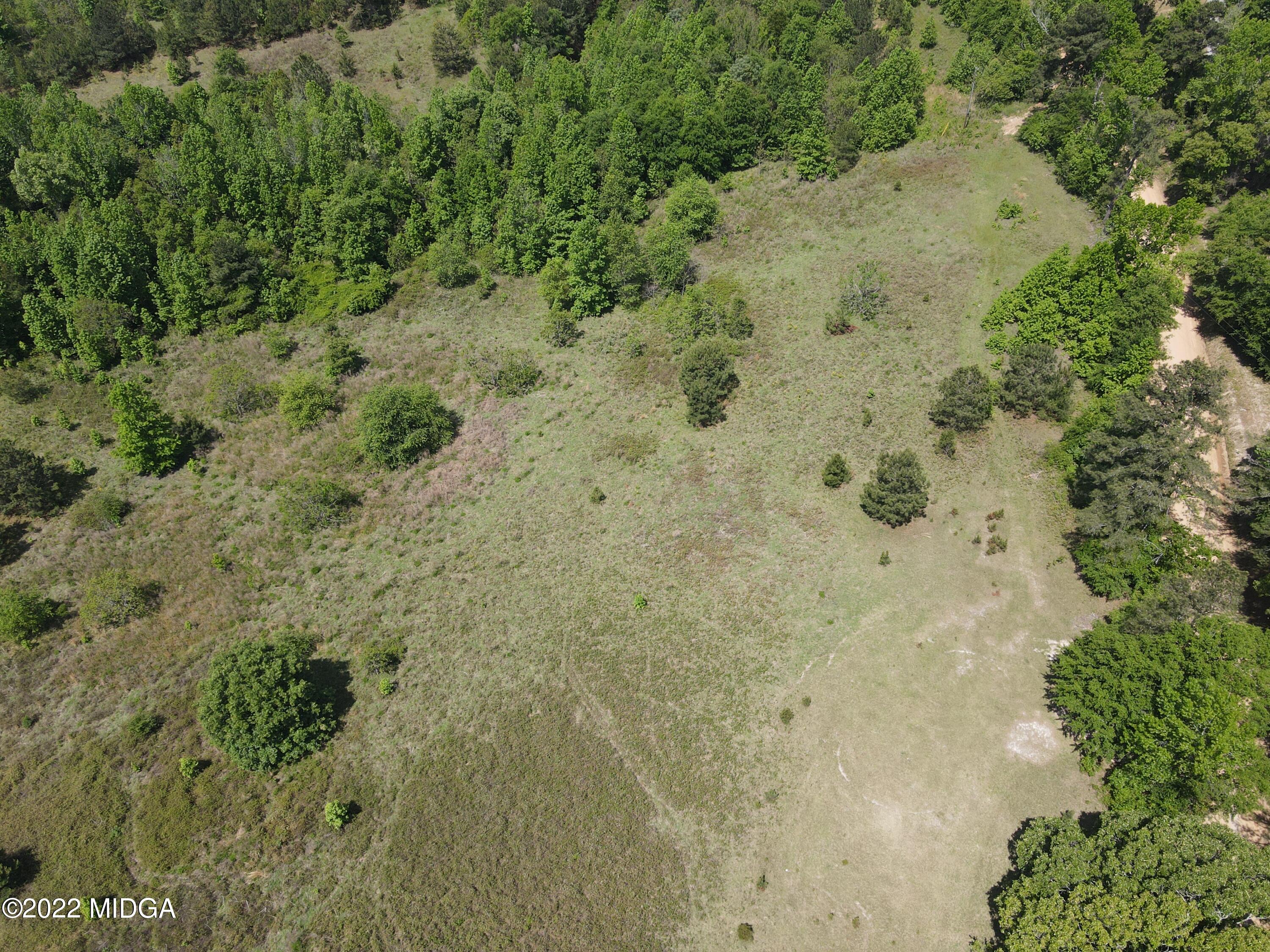 0 Genie Ethridge Road Gray, GA 31032 - Photo 5 of 14 a view of a forest with a dry yard