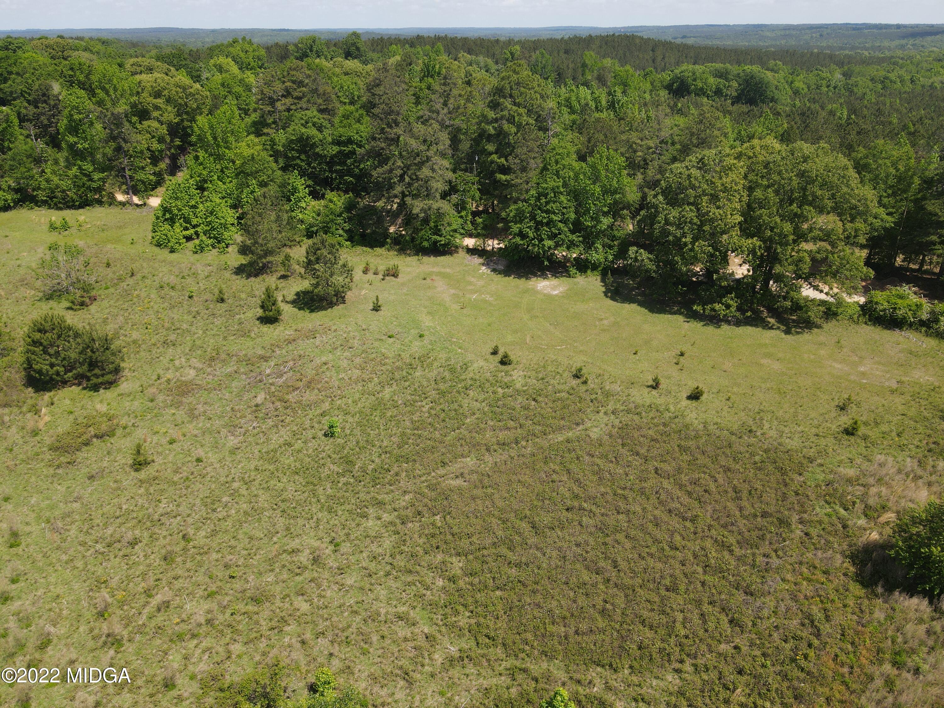 0 Genie Ethridge Road Gray, GA 31032 - Photo 8 of 14 a view of a yard