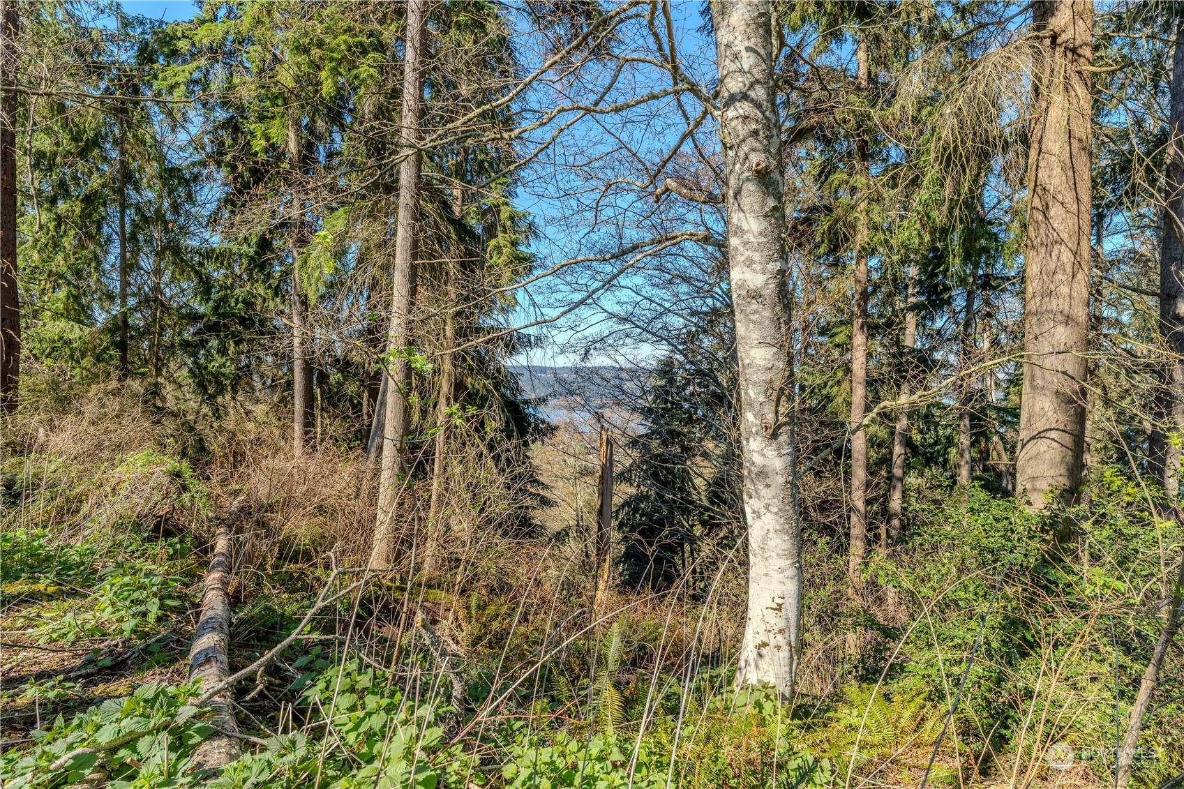 0 Greenoch Loop Oak Harbor, WA 98277 - Photo 16 of 34 a view of a yard