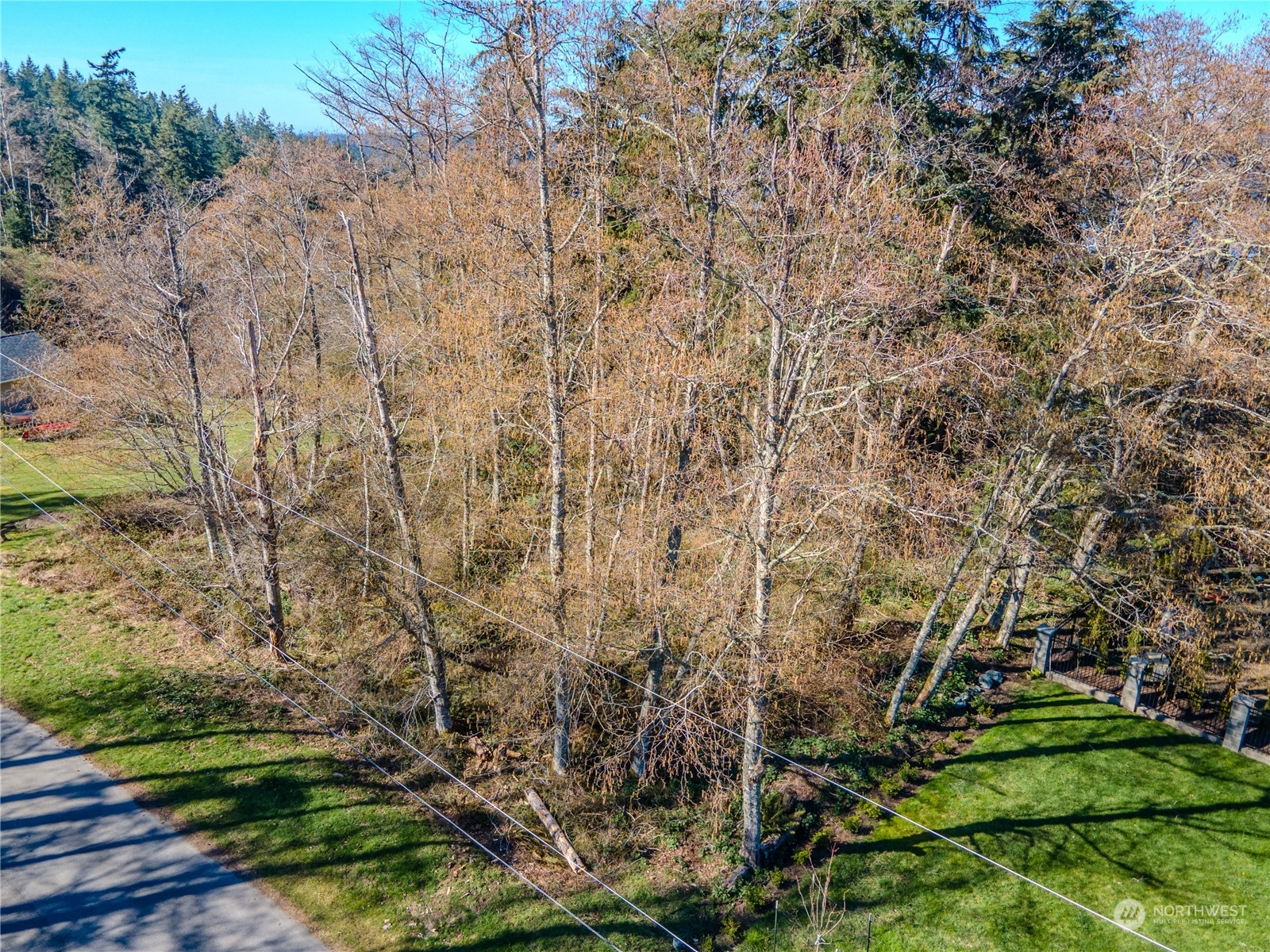 0 Greenoch Loop Oak Harbor, WA 98277 - Photo 18 of 34 a view of a yard with a trees
