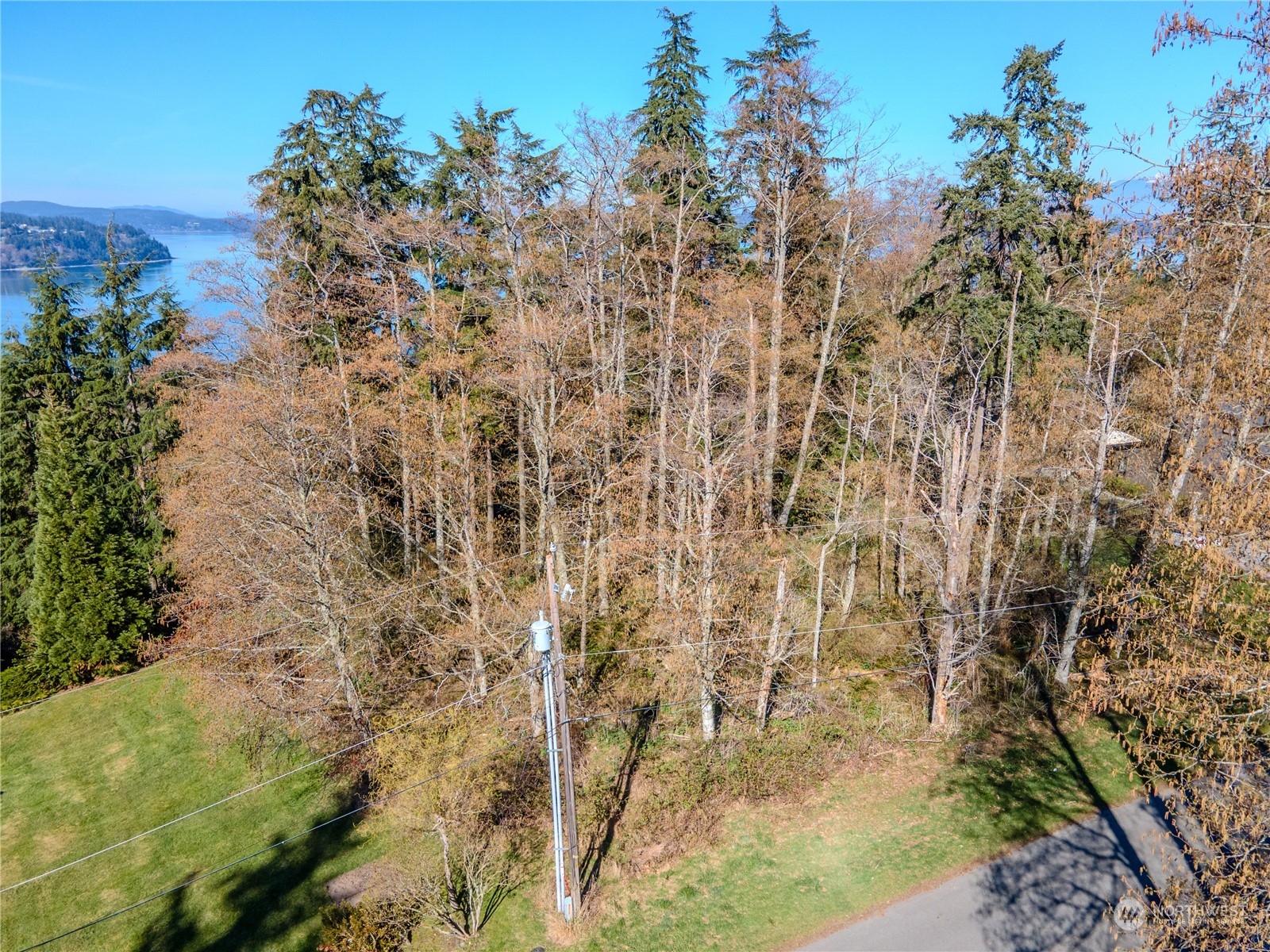 0 Greenoch Loop Oak Harbor, WA 98277 - Photo 19 of 34 a view of a yard with a tree