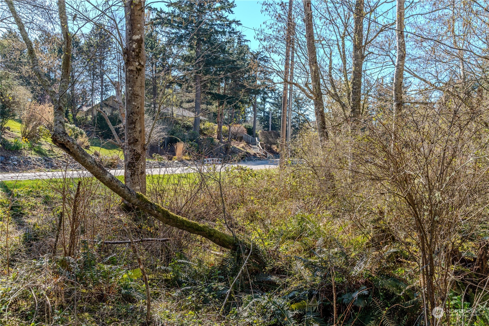 0 Greenoch Loop Oak Harbor, WA 98277 - Photo 21 of 34 a view of a yard with large trees