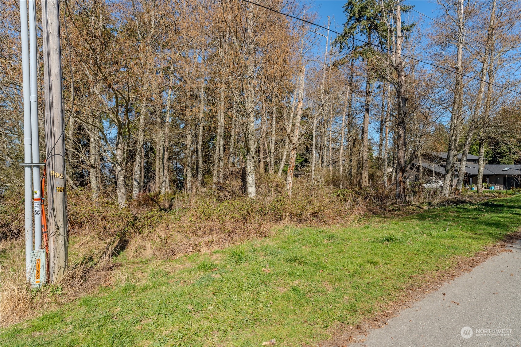 0 Greenoch Loop Oak Harbor, WA 98277 - Photo 22 of 34 a view of yard with trees