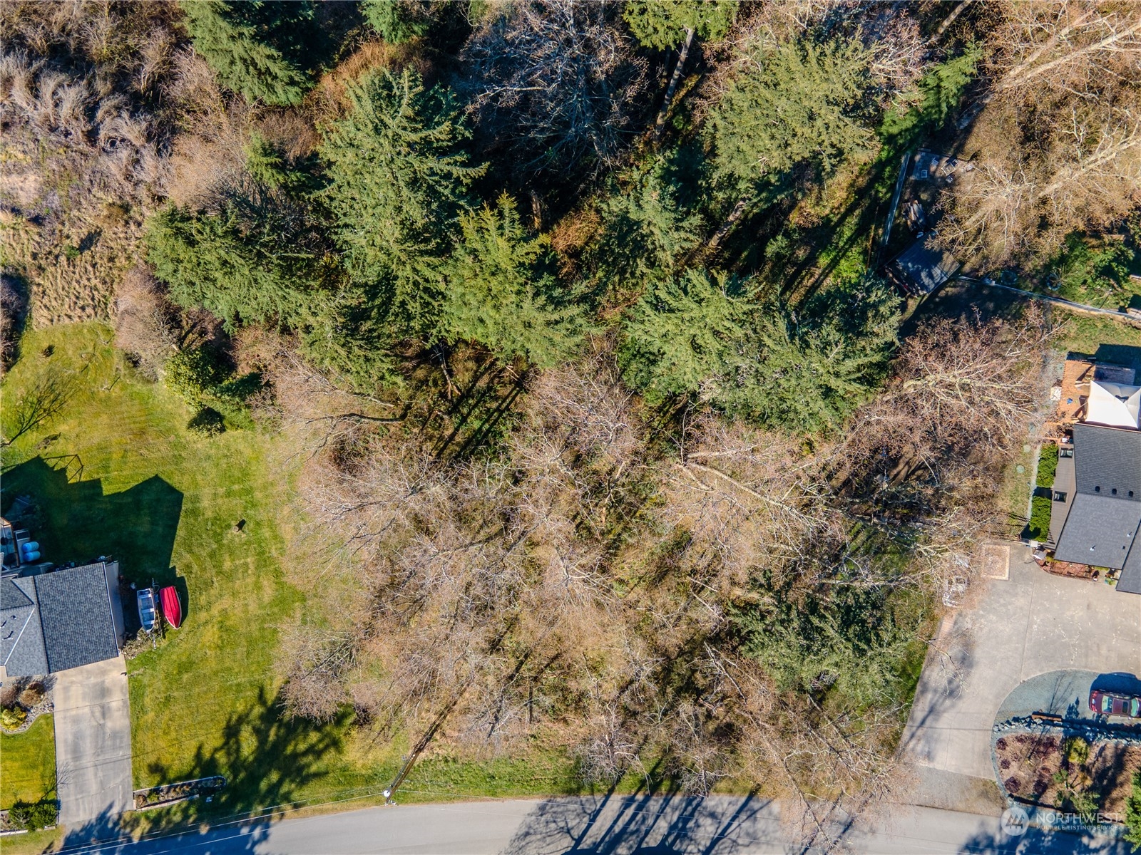 0 Greenoch Loop Oak Harbor, WA 98277 - Photo 25 of 34 a view of a yard with plants and large trees