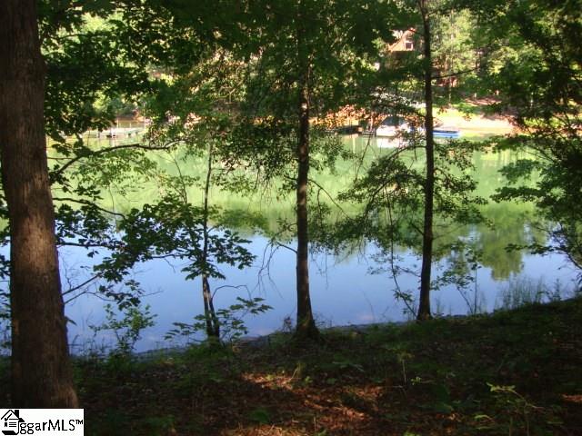 0 Hunnicutt Cove Road Seneca, SC 29672 - Photo 2 of 14 Gallery Image 2