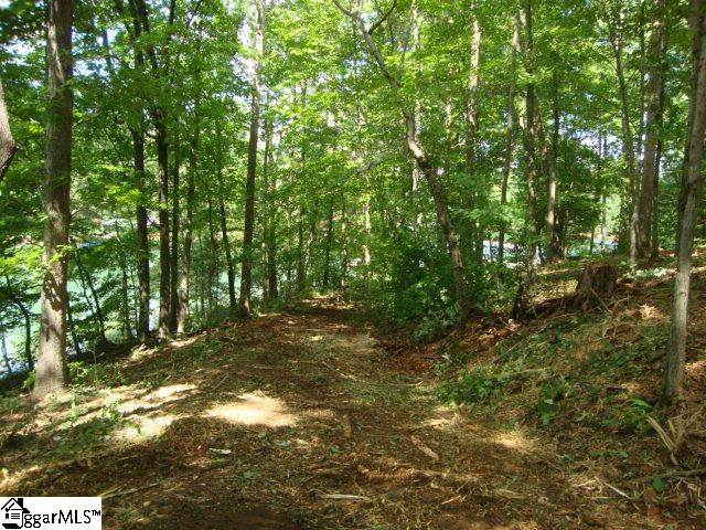 0 Hunnicutt Cove Road Seneca, SC 29672 - Photo 11 of 14 Gallery Image 11